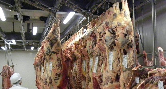 réaménagement et extension de l_abattoir St Céré (46)- 2